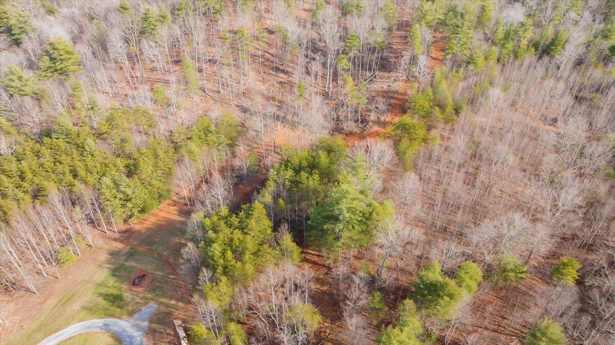 6702 Ferrum Mountain Road Callaway, VA 24067 - Photo 40 of 45 a backyard of a building with large trees