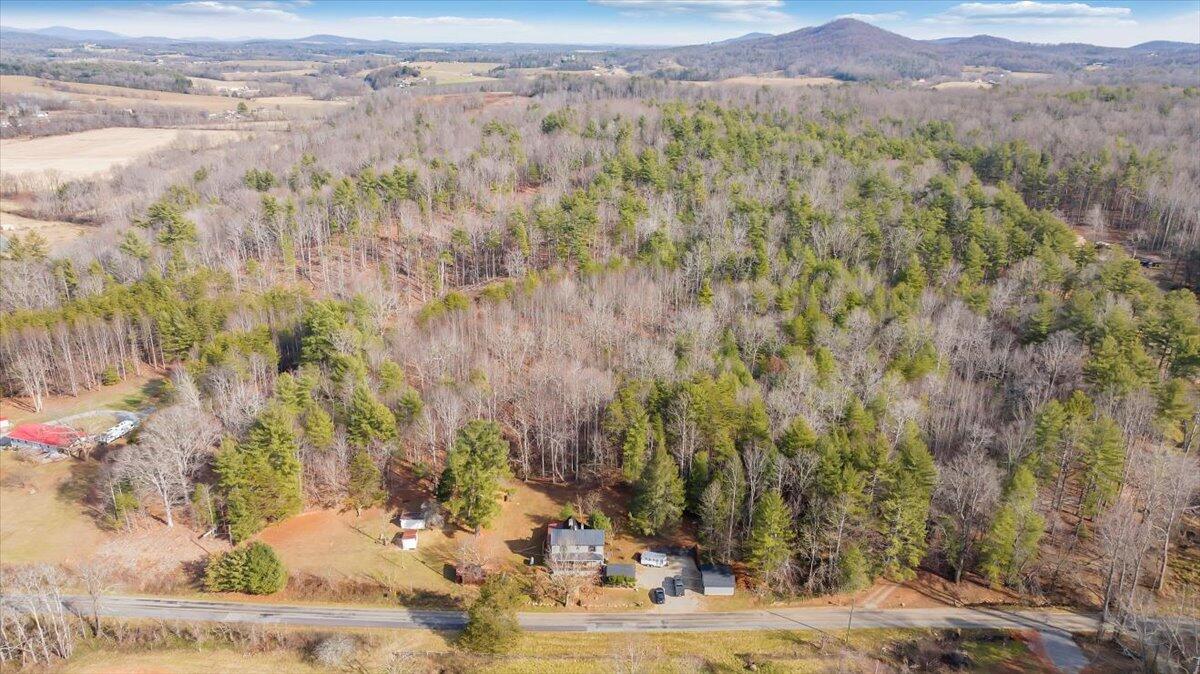 6702 Ferrum Mountain Road Callaway, VA 24067 - Photo 42 of 45 a view of a yard with a tree