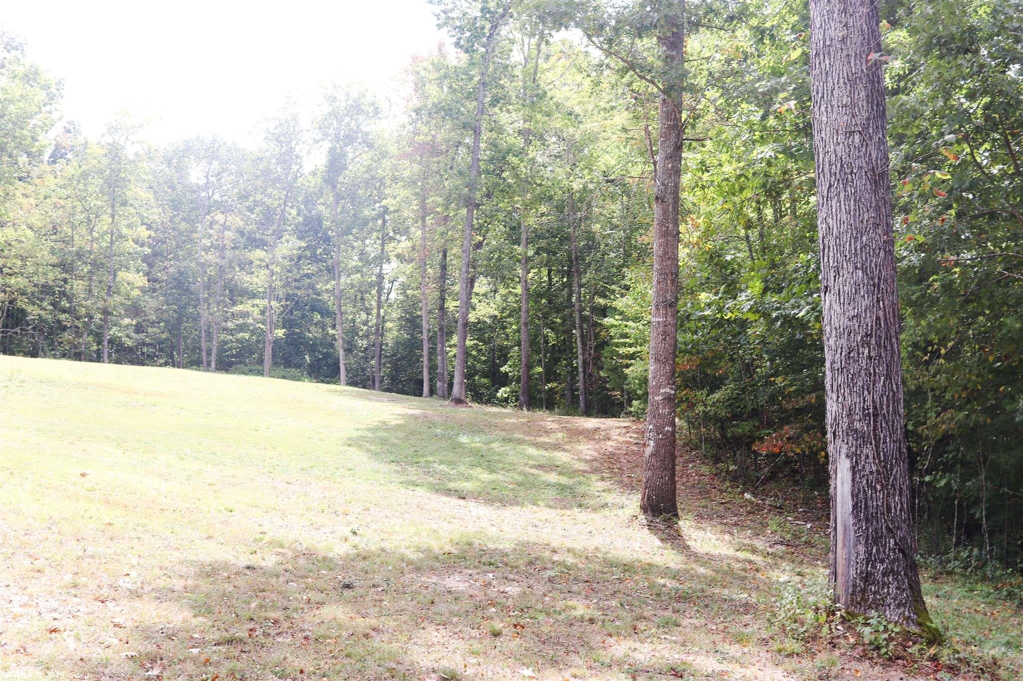 Tbd Gold Field Road Northeast Floyd, VA 24091 - Photo 10 of 12 Gallery Image 10