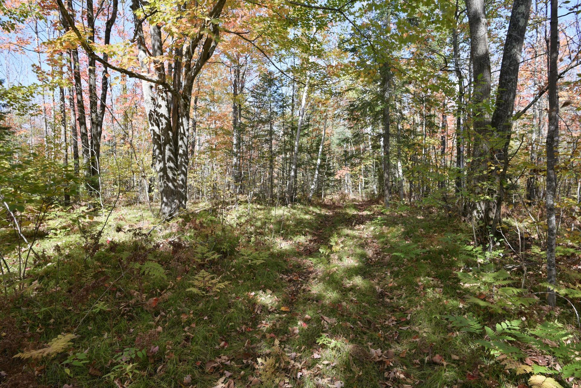 77942 County Line Road Mellen, WI 54546 - Photo 26 of 39