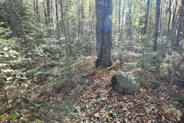 $249,900 | 77942 County Line Road, Mellen, WI 54546