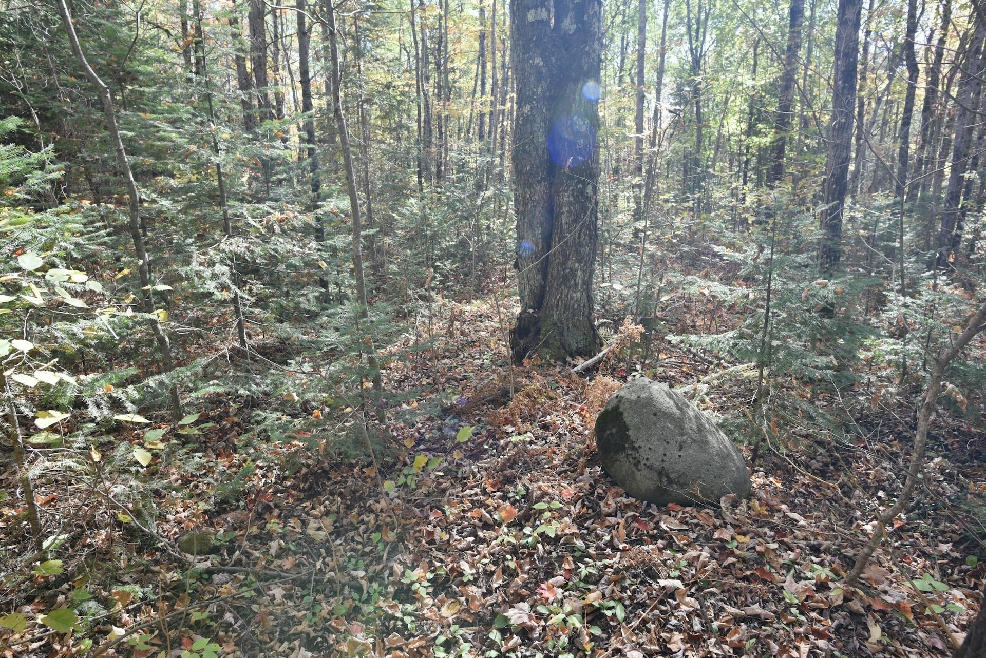 77942 County Line Road Mellen, WI 54546 - Photo 32 of 39