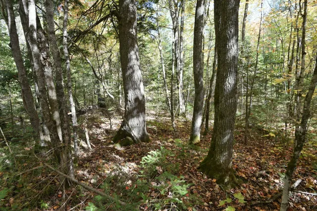 $249,900 | 77942 County Line Road, Mellen, WI 54546