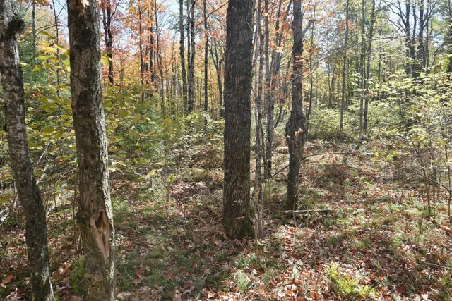 $249,900 | 77942 County Line Road, Mellen, WI 54546