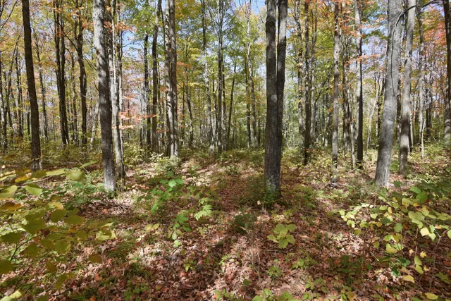 $249,900 | 77942 County Line Road, Mellen, WI 54546