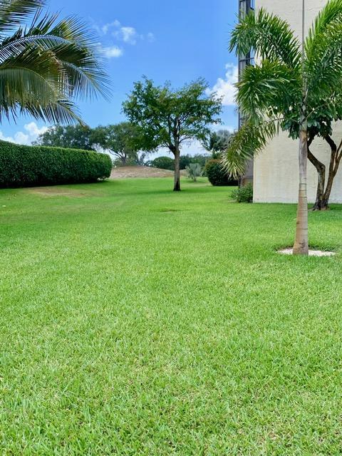 6400 Northwest 2nd Avenue, Unit 417 Boca Raton, FL 33487 - Photo 60 of 66 a view of green field with a tree