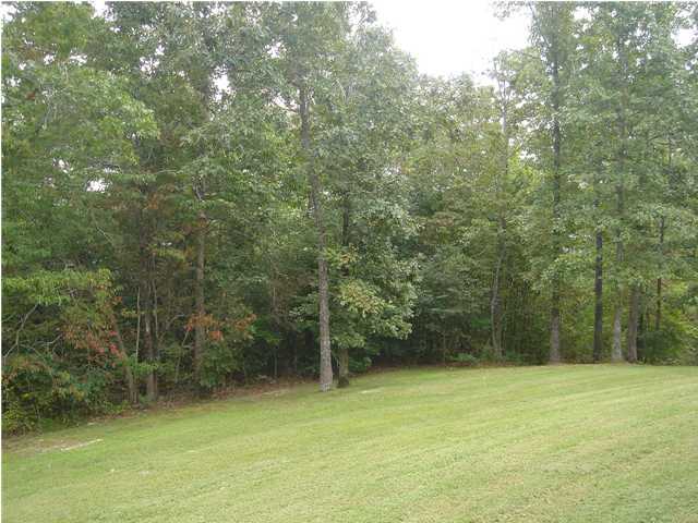 5700 Riley Road Ooltewah, TN 37363 - Photo 8 of 8 Additional Photo
