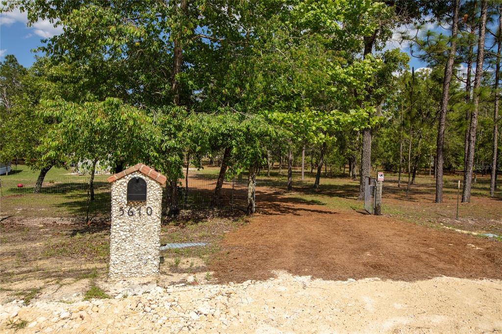 5670 Acadia Street Keystone Heights, FL 32656 - Photo 2 of 65 a backyard of a house with lots of green space