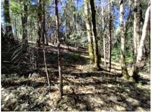 13928 Manion Canyon Road Grass Valley, CA 95945 - Photo 3 of 5