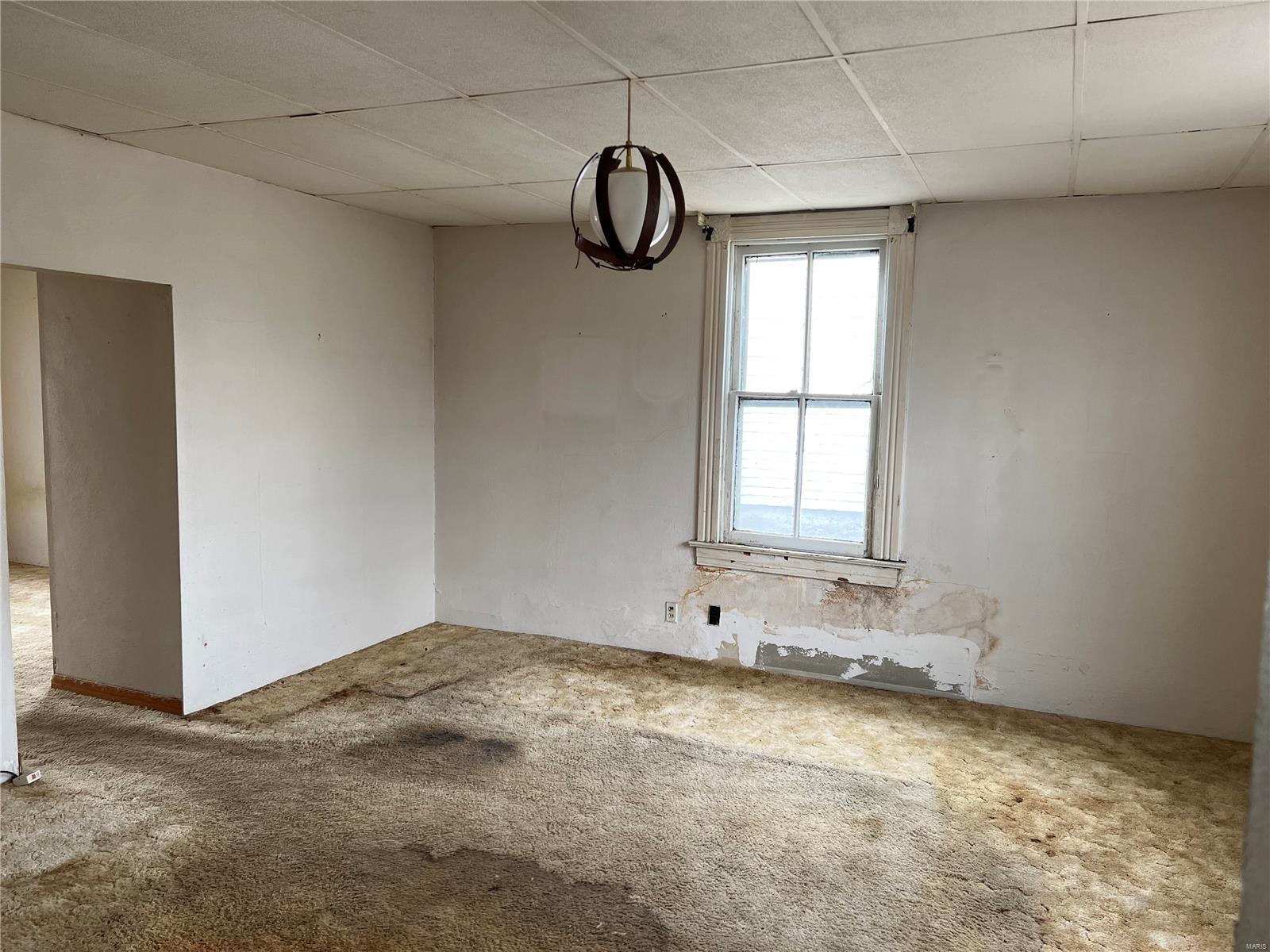 4249 Delor Street St. Louis, MO 63116 - Photo 5 of 14