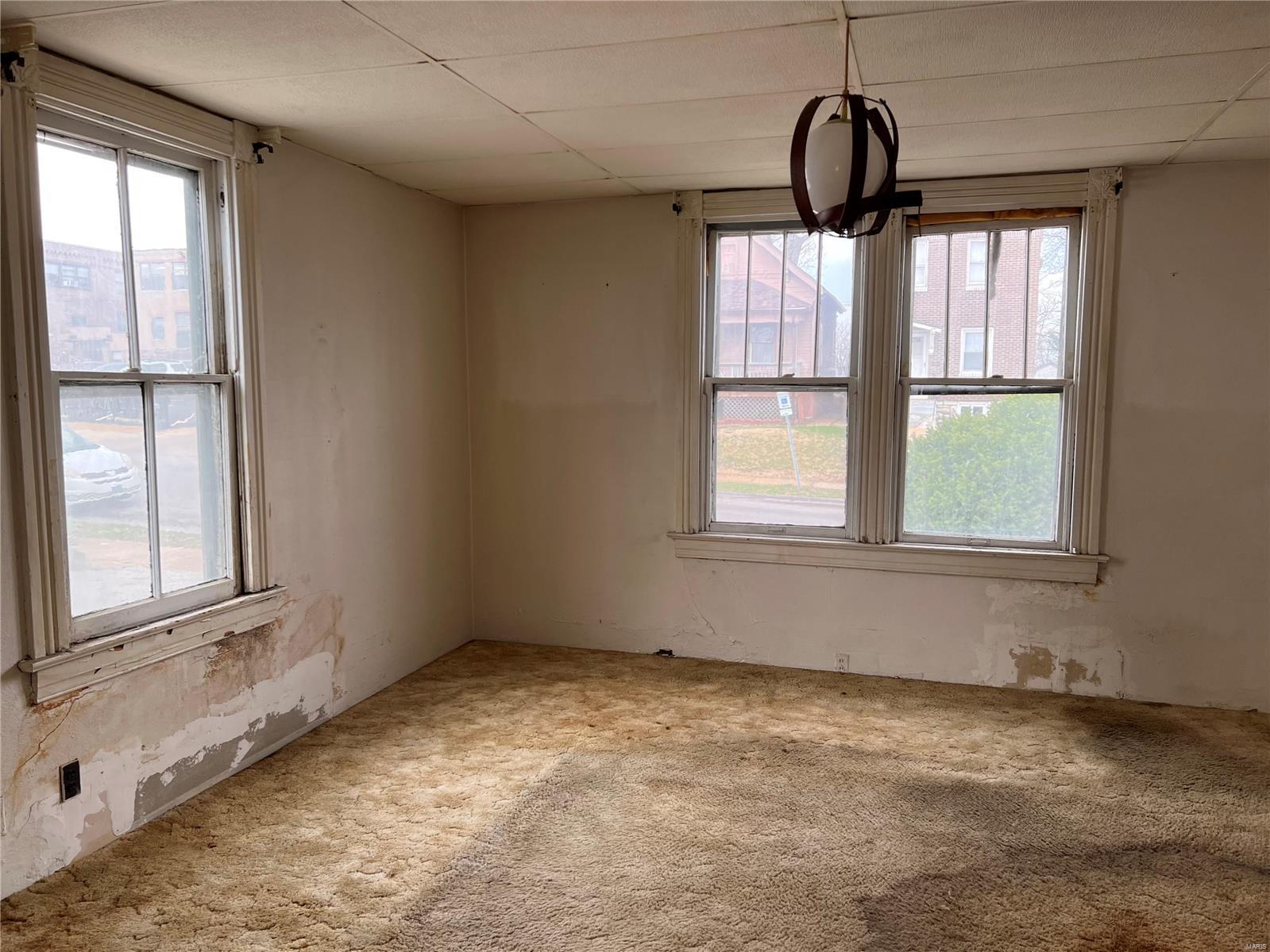 4249 Delor Street St. Louis, MO 63116 - Photo 6 of 14