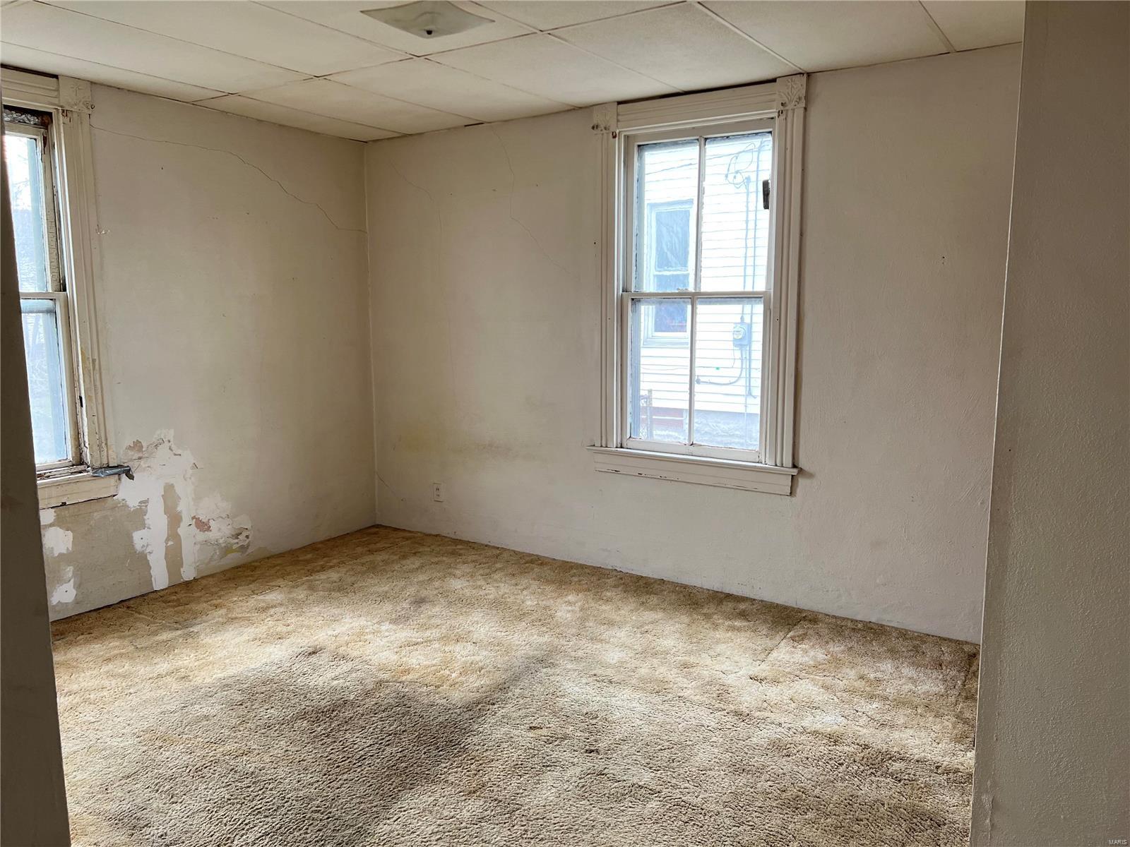 4249 Delor Street St. Louis, MO 63116 - Photo 7 of 14