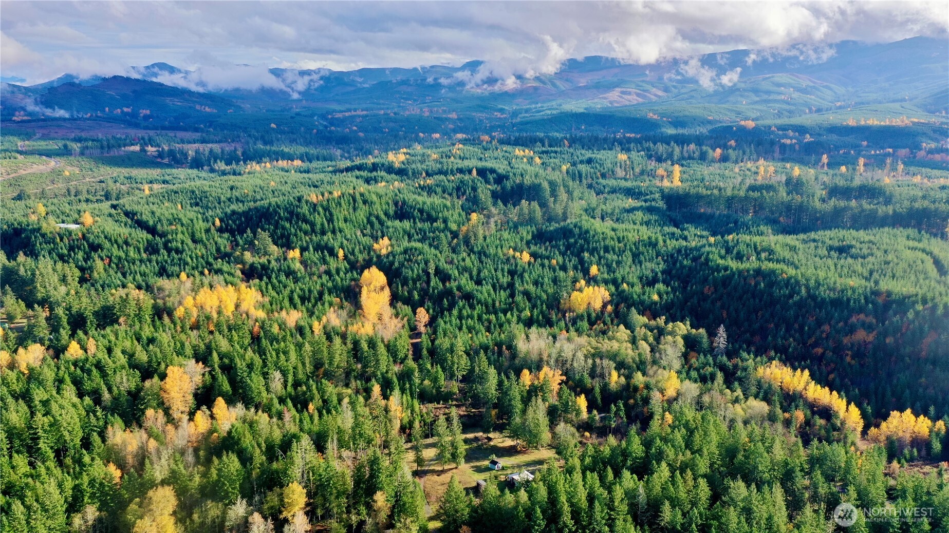 22305 Bald Hill Road Southeast Yelm, WA 98597 - Photo 37 of 39 a view of a lush green mountain and green space