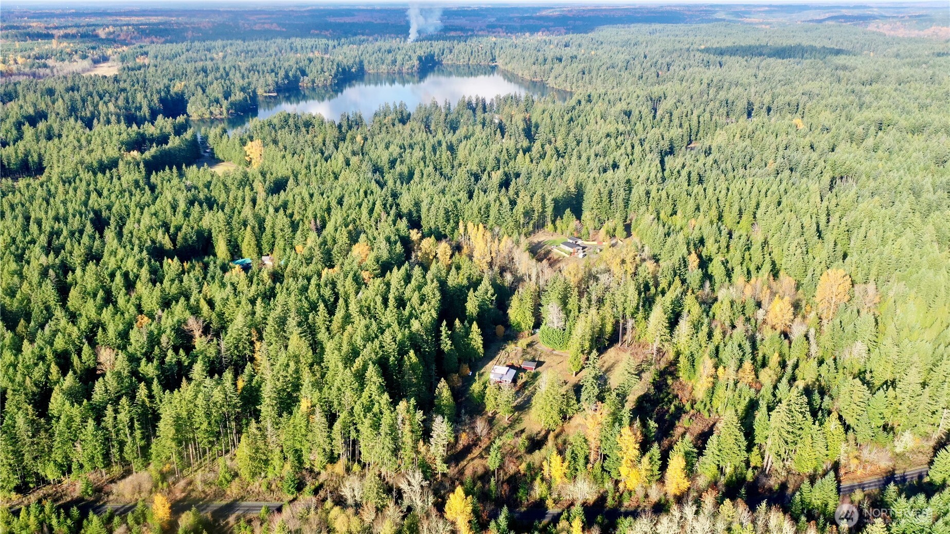 22305 Bald Hill Road Southeast Yelm, WA 98597 - Photo 39 of 39 a view of a garden with a plant