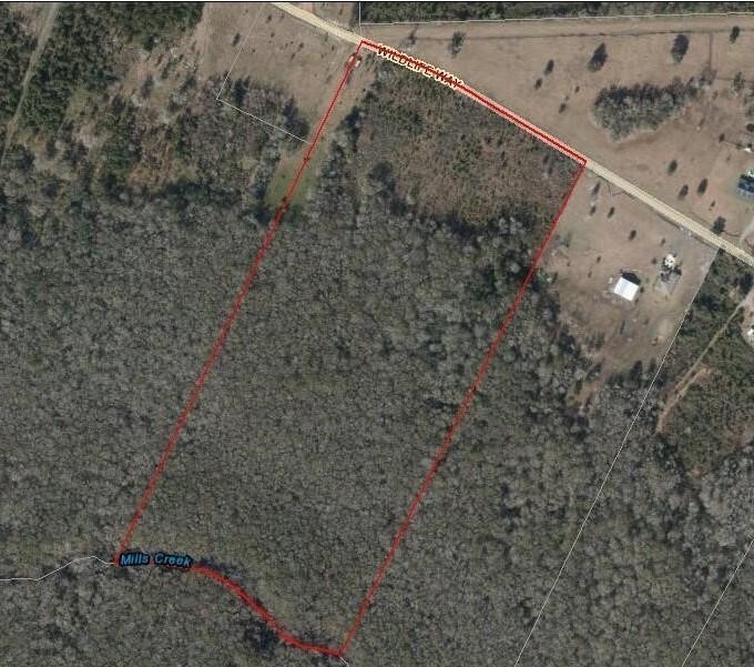 54452 Wildlife Way Callahan, FL 32011 - Photo 12 of 13 a view of a dry yard with a dry plant