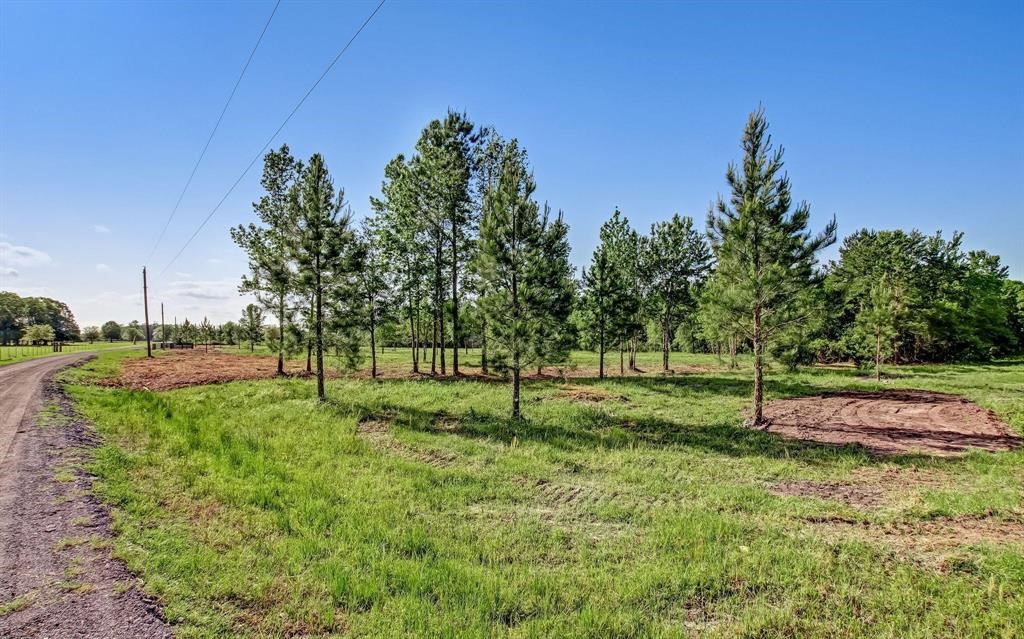 54452 Wildlife Way Callahan, FL 32011 - Photo 3 of 13 a view of a backyard with large trees