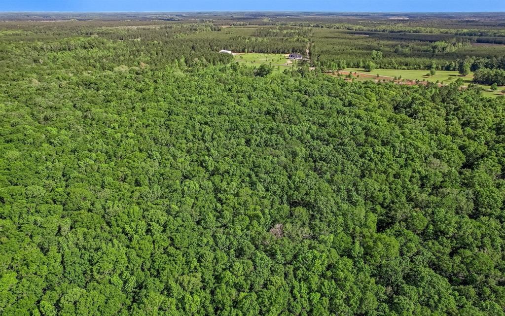 54452 Wildlife Way Callahan, FL 32011 - Photo 5 of 13