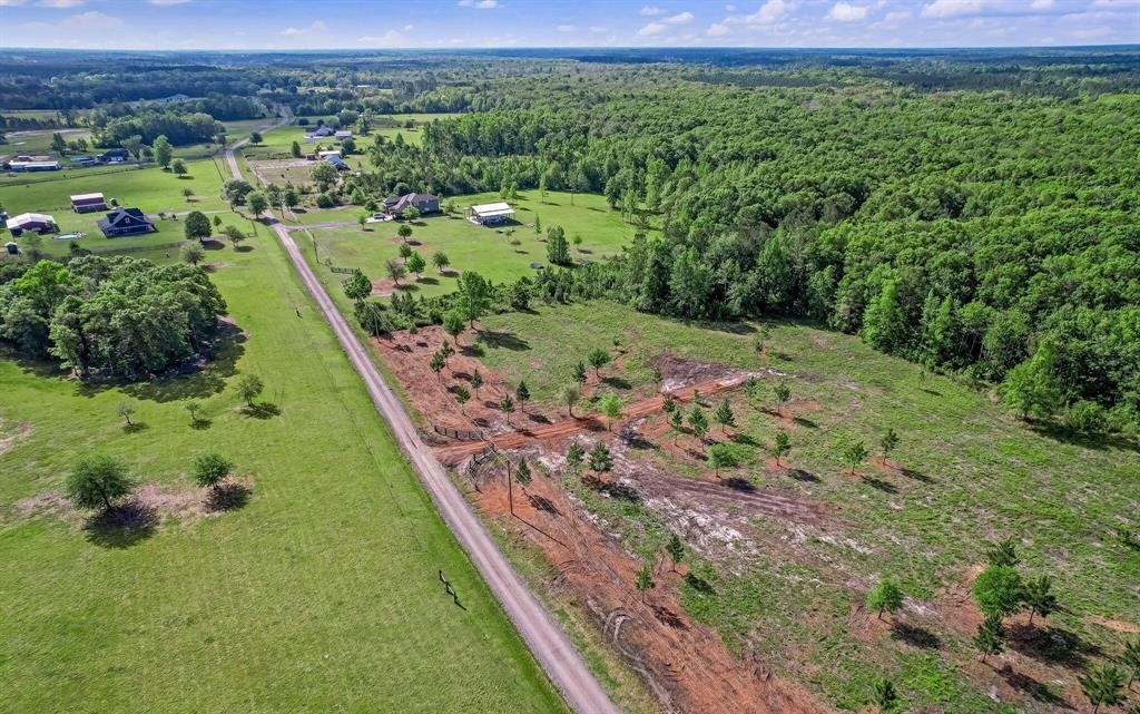 54452 Wildlife Way Callahan, FL 32011 - Photo 6 of 13 a view of a lush green outdoor space with a lake view