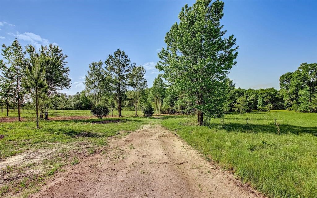54452 Wildlife Way Callahan, FL 32011 - Photo 7 of 13 a view of a park with large trees