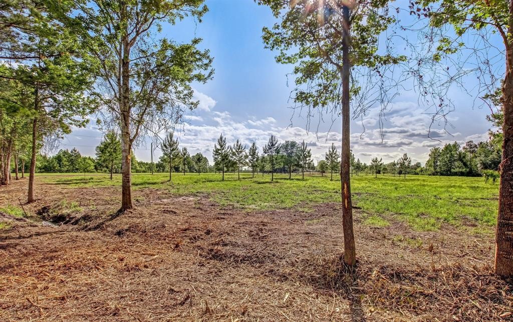 54452 Wildlife Way Callahan, FL 32011 - Photo 8 of 13 a view of a yard with a tree