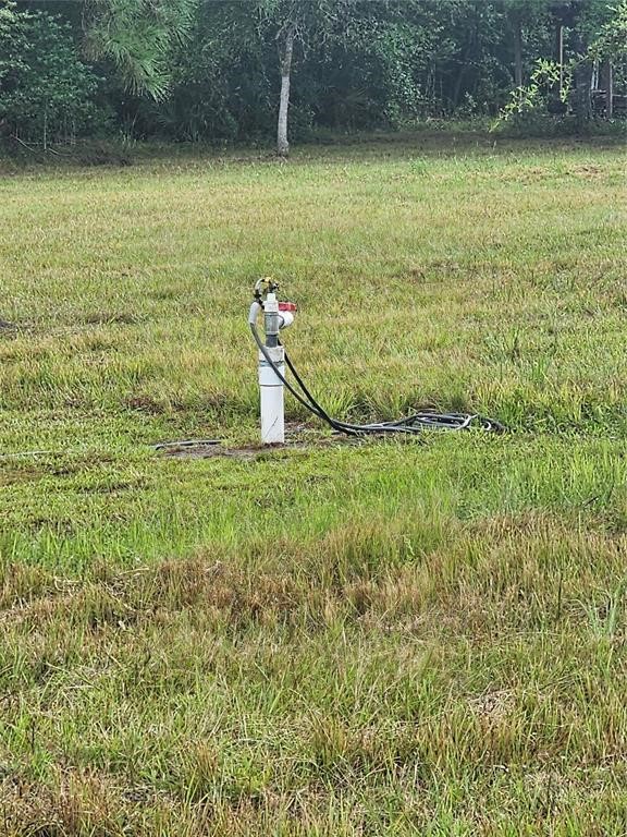 54452 Wildlife Way Callahan, FL 32011 - Photo 10 of 13 a view of a lake view
