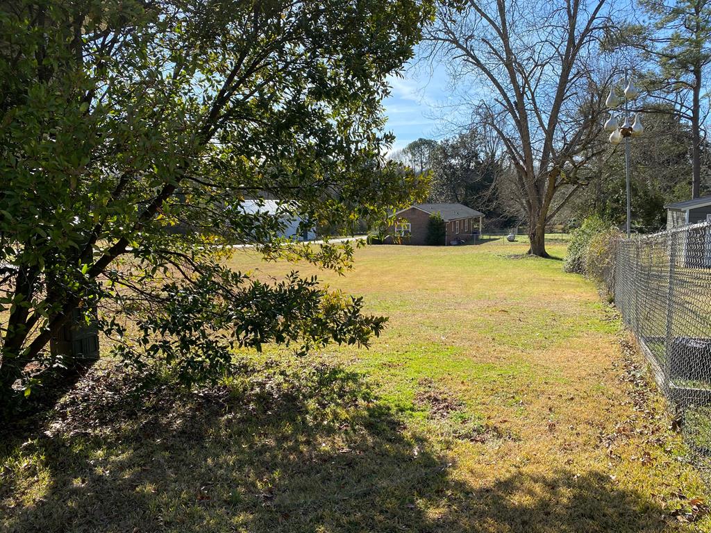 128 Barnes Mill Road Hamilton, GA 31811 - Photo 13 of 14 Gallery Image 13