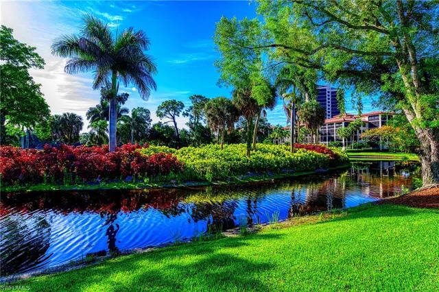 a view of a street with cars and palm trees