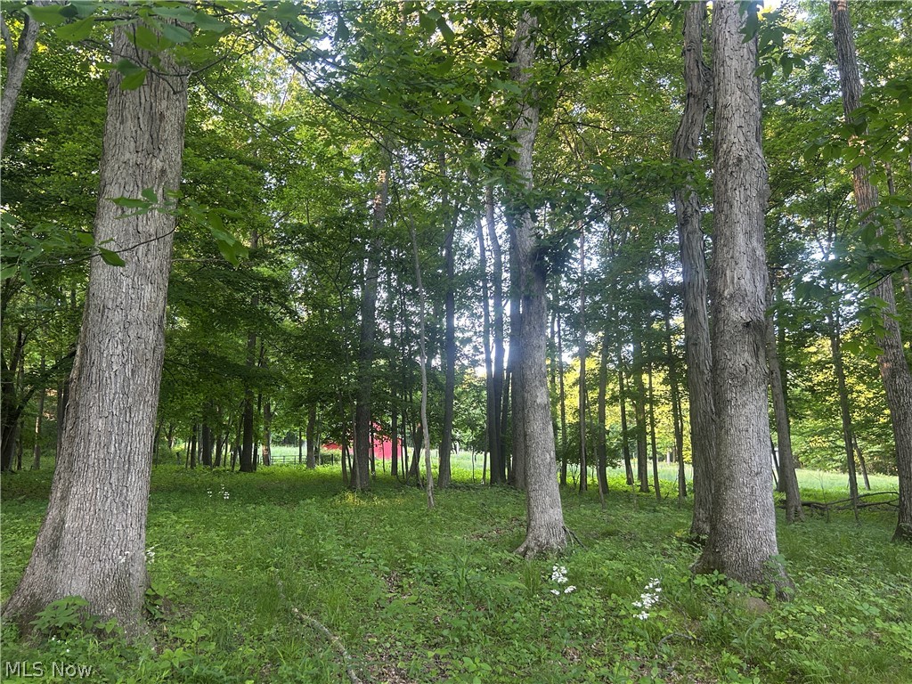 12929 Pleasant Valley Road Northeast Utica, OH 43080 - Photo 34 of 47