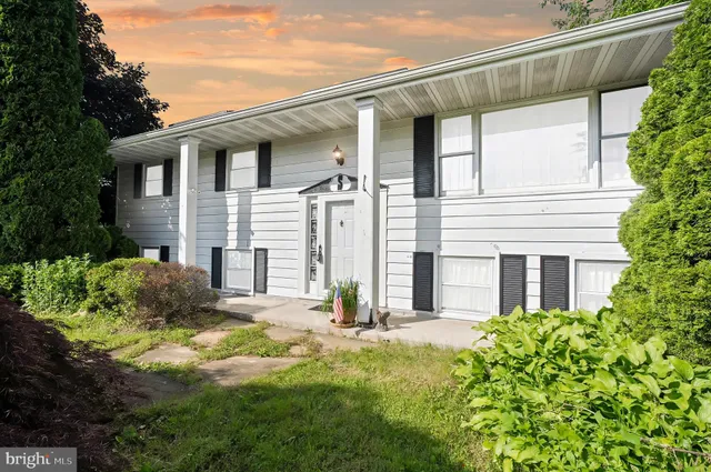 a backyard of a white house with potted plants and a large tree