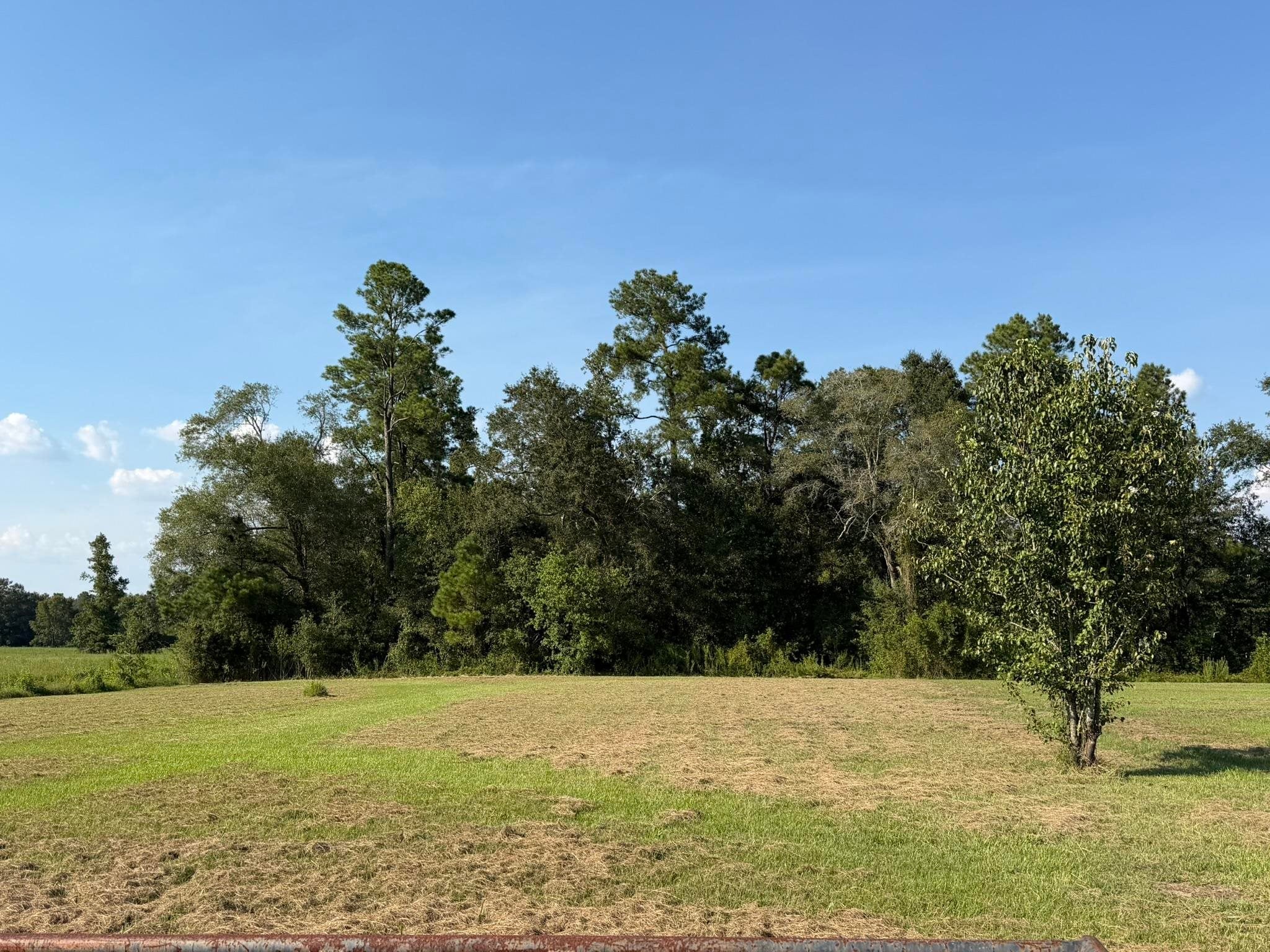 5477 Dunromin Road Orange, TX 77632 - Photo 14 of 15 Gallery Image 14
