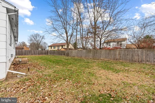 a view of backyard with tree