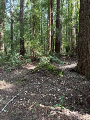 $260,000 | 0 Slate Creek Road, La Honda, CA 94020