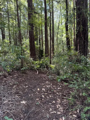 $260,000 | 0 Slate Creek Road, La Honda, CA 94020