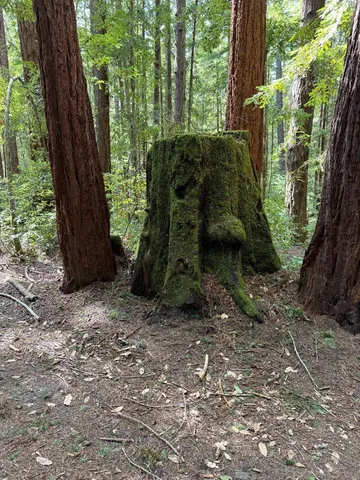 $260,000 | 0 Slate Creek Road, La Honda, CA 94020