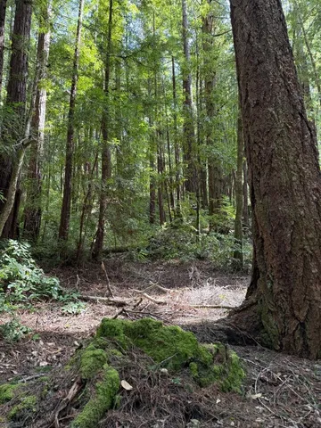 $260,000 | 0 Slate Creek Road, La Honda, CA 94020