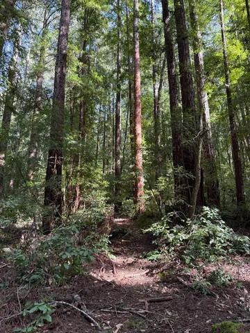 $260,000 | 0 Slate Creek Road, La Honda, CA 94020