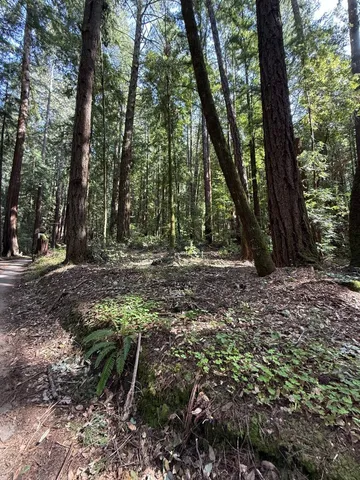 $260,000 | 0 Slate Creek Road, La Honda, CA 94020