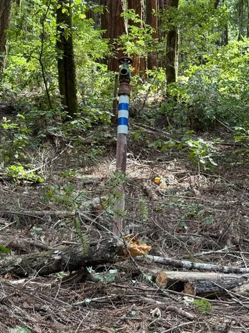 $260,000 | 0 Slate Creek Road, La Honda, CA 94020