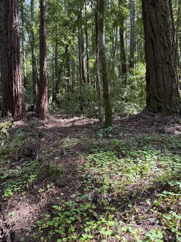 $260,000 | 0 Slate Creek Road, La Honda, CA 94020