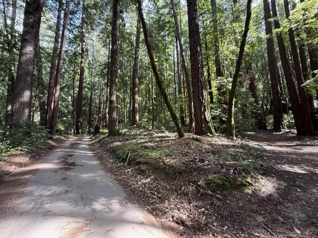 $260,000 | 0 Slate Creek Road, La Honda, CA 94020