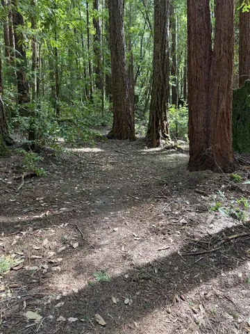 $260,000 | 0 Slate Creek Road, La Honda, CA 94020