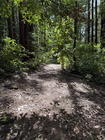 $260,000 | 0 Slate Creek Road, La Honda, CA 94020