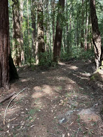 $260,000 | 0 Slate Creek Road, La Honda, CA 94020