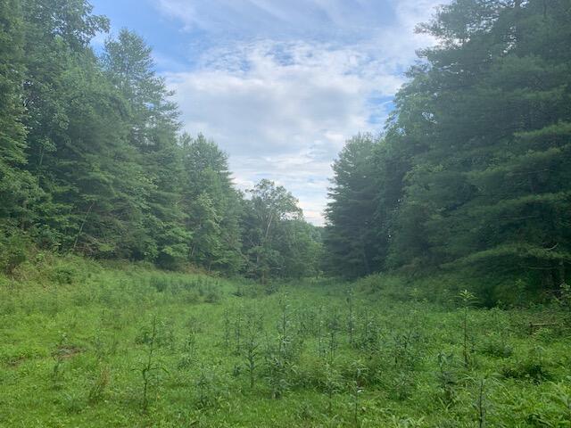 691 Dry Branch Road Hazel Green, KY 41332 - Photo 1 of 33 IMG_4306 (1)