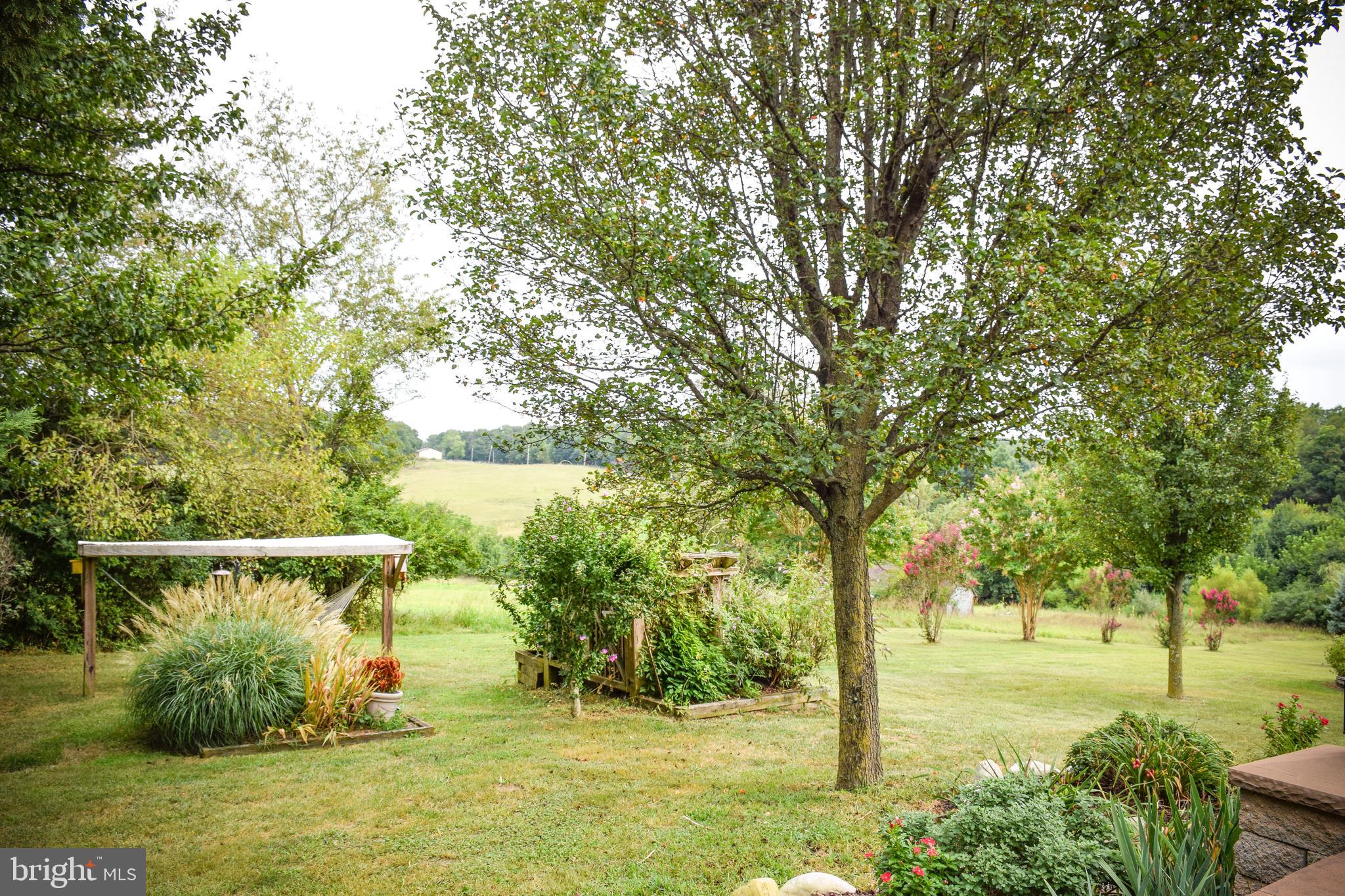 765 Gun Club Road Stephenson, VA 22656 - Photo 109 of 113 a view of a garden