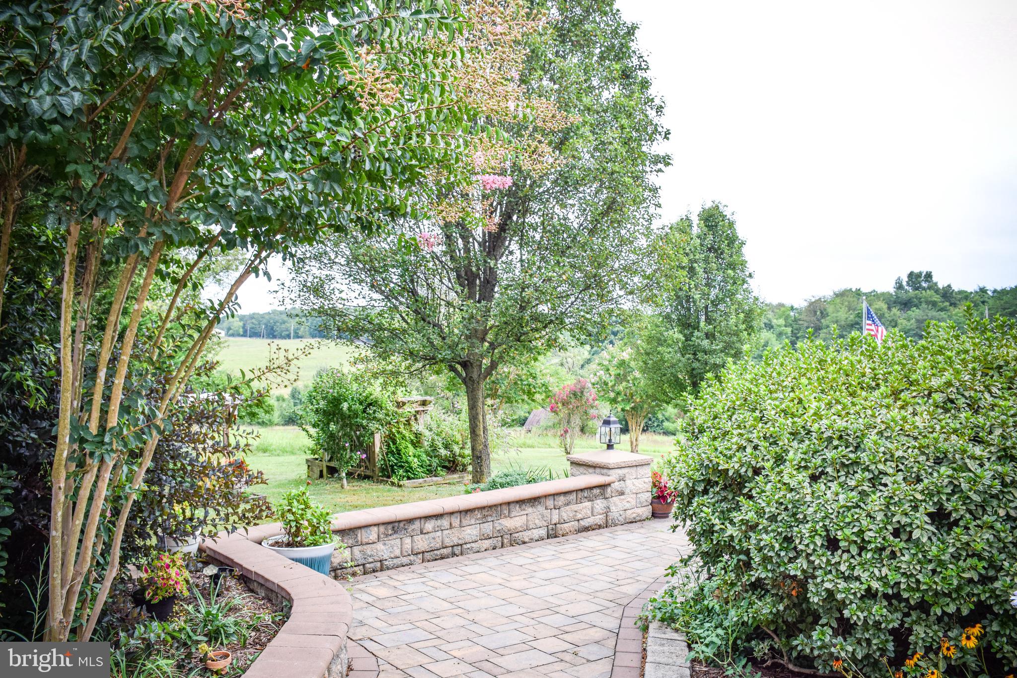 765 Gun Club Road Stephenson, VA 22656 - Photo 111 of 113 a view of a garden with plants and large trees