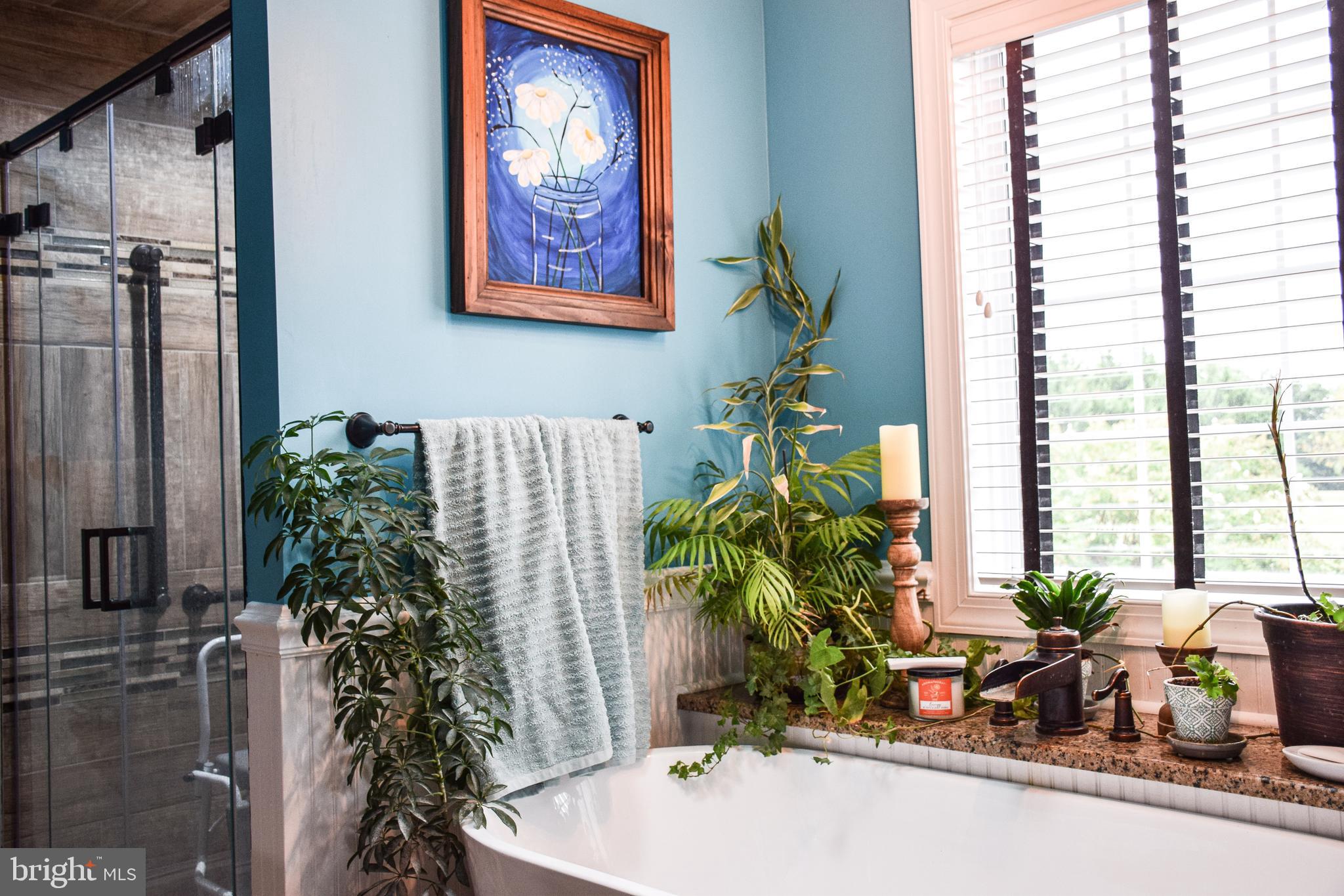 765 Gun Club Road Stephenson, VA 22656 - Photo 40 of 113 a potted plant sitting in front of a door