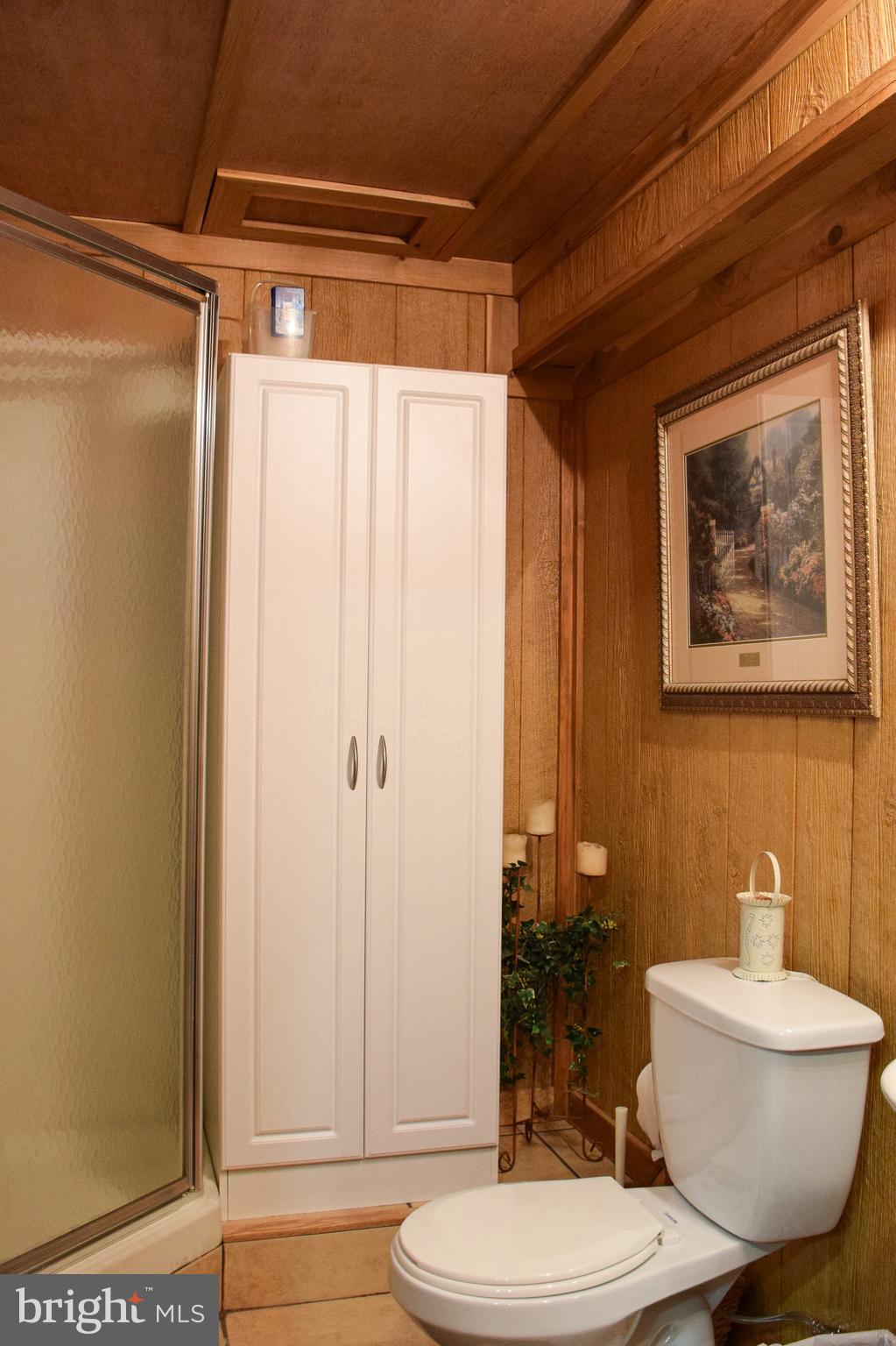 765 Gun Club Road Stephenson, VA 22656 - Photo 65 of 113 a bathroom with a toilet and a shower