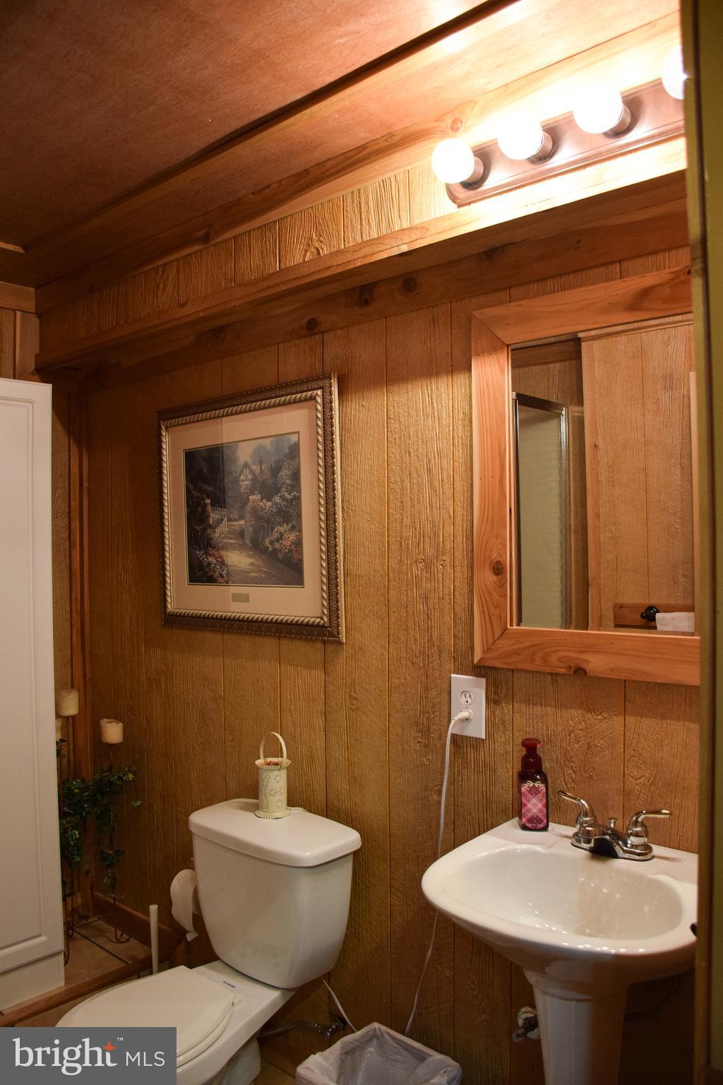 765 Gun Club Road Stephenson, VA 22656 - Photo 66 of 113 a bathroom with a toilet a sink and mirror