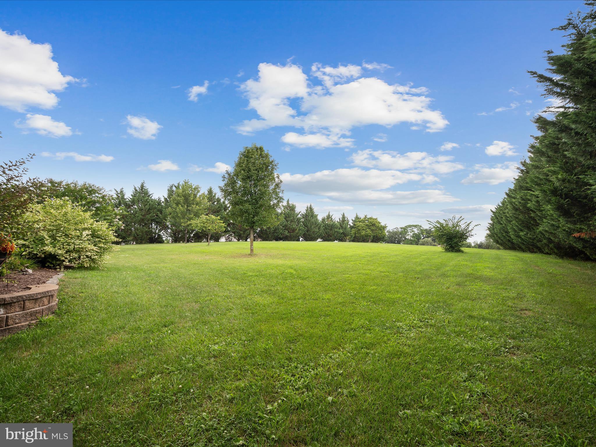 765 Gun Club Road Stephenson, VA 22656 - Photo 88 of 113 Backyard